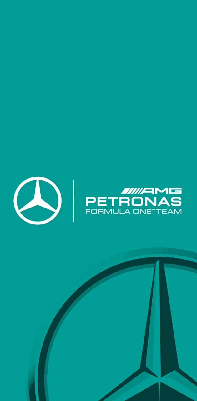 Mercedes F1 Team