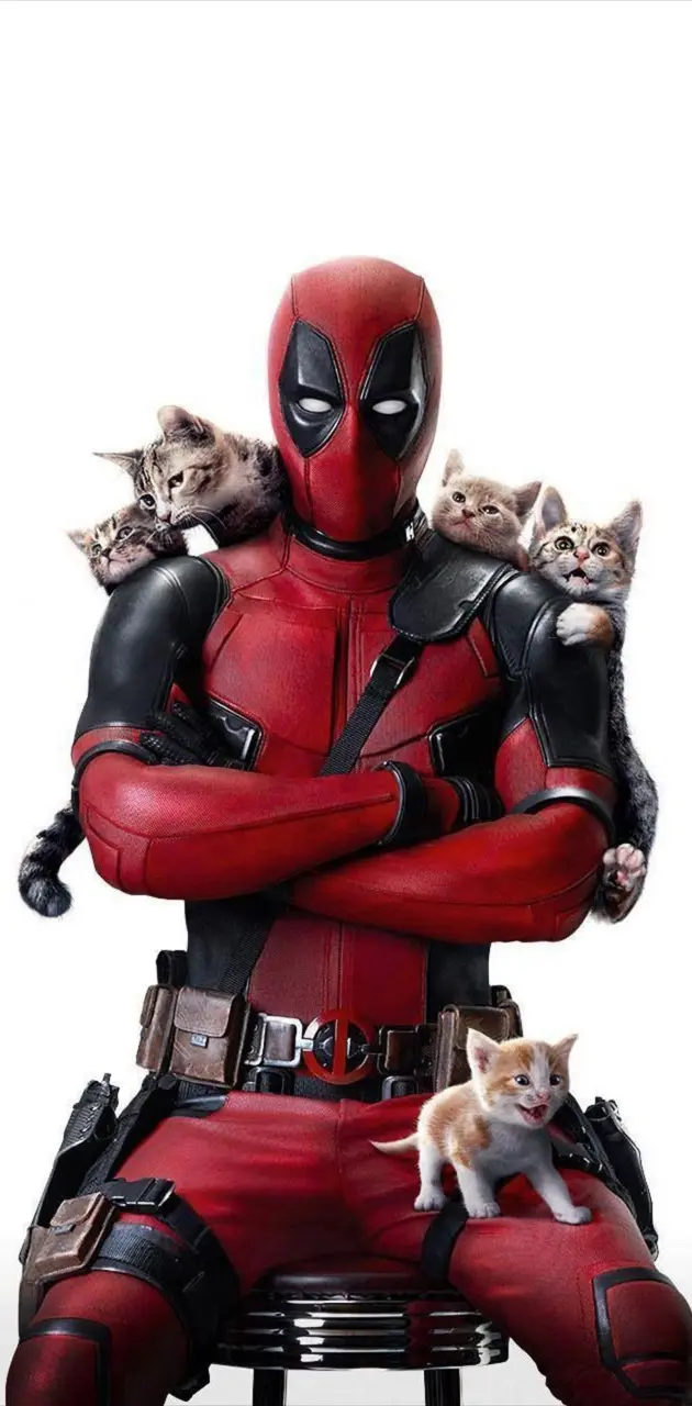 deadpool and cats