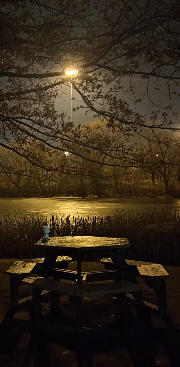 Frozen lake at night