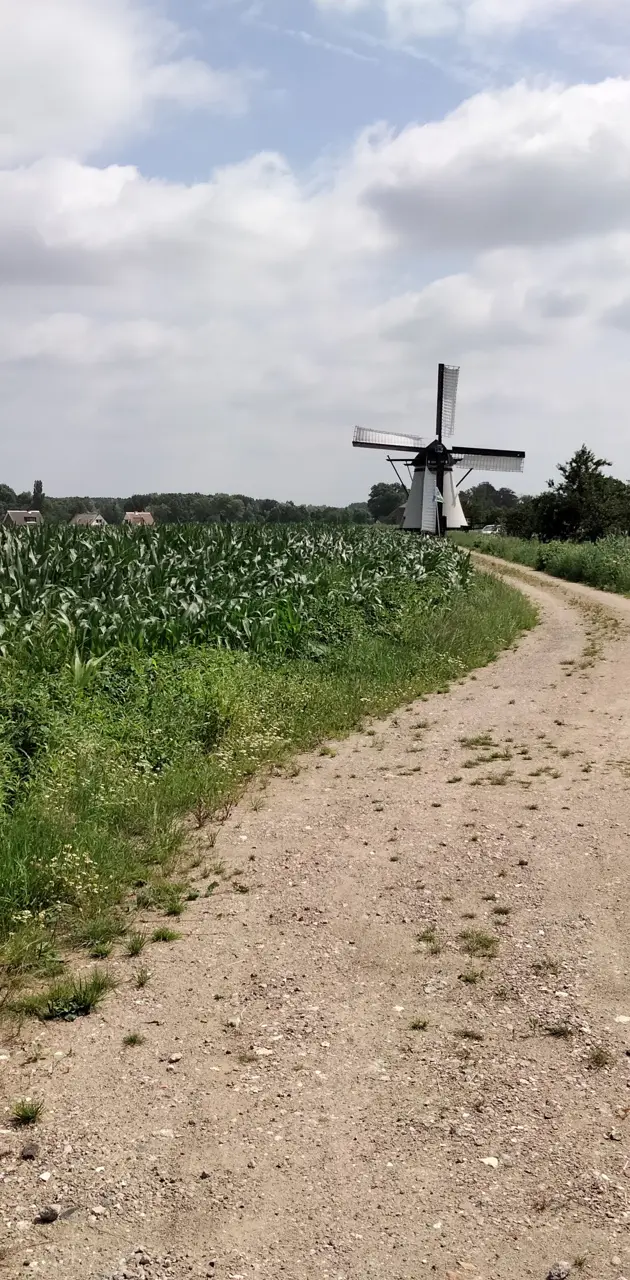 Windmill path