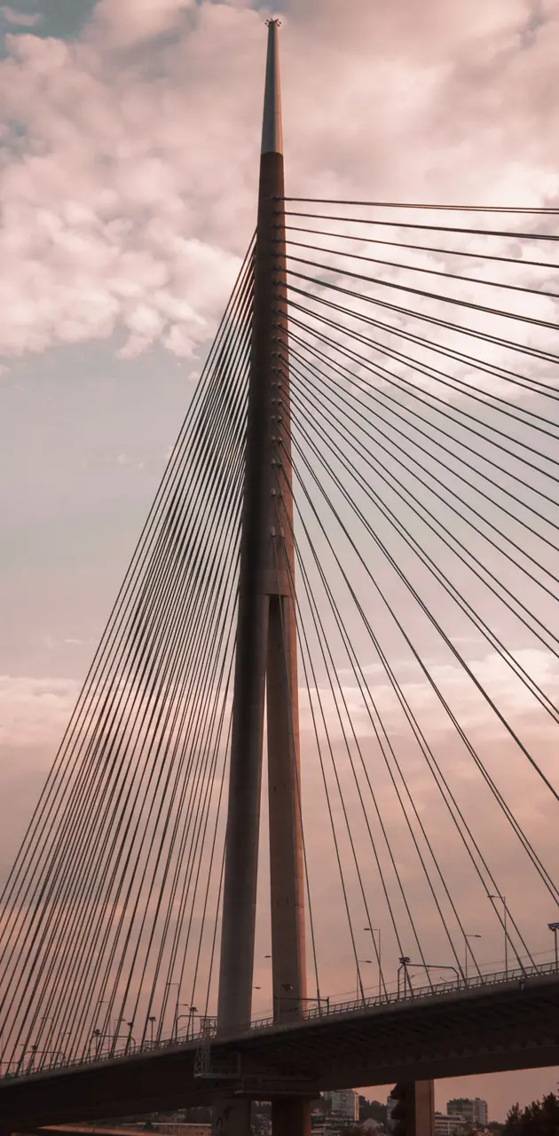 Ada Bridge Belgrade