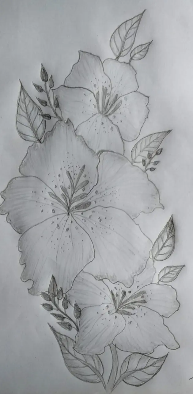 Drawing flower
