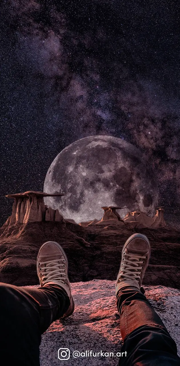 Desert Moonlight