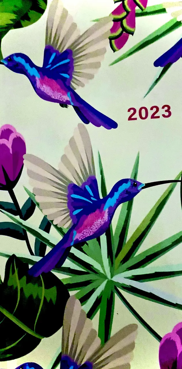 Hummingbird 2023