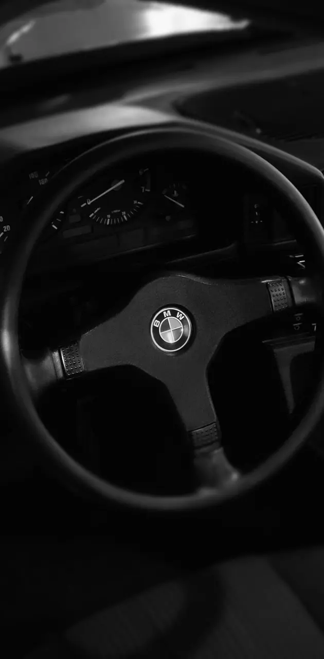 BMW steering wheel 
