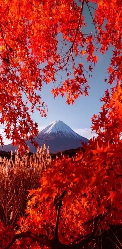 Autumn in mountain