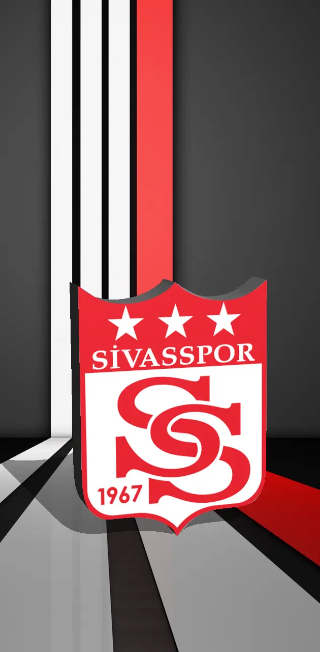 Sivasspor 3d