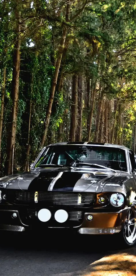 Shelby gt500
