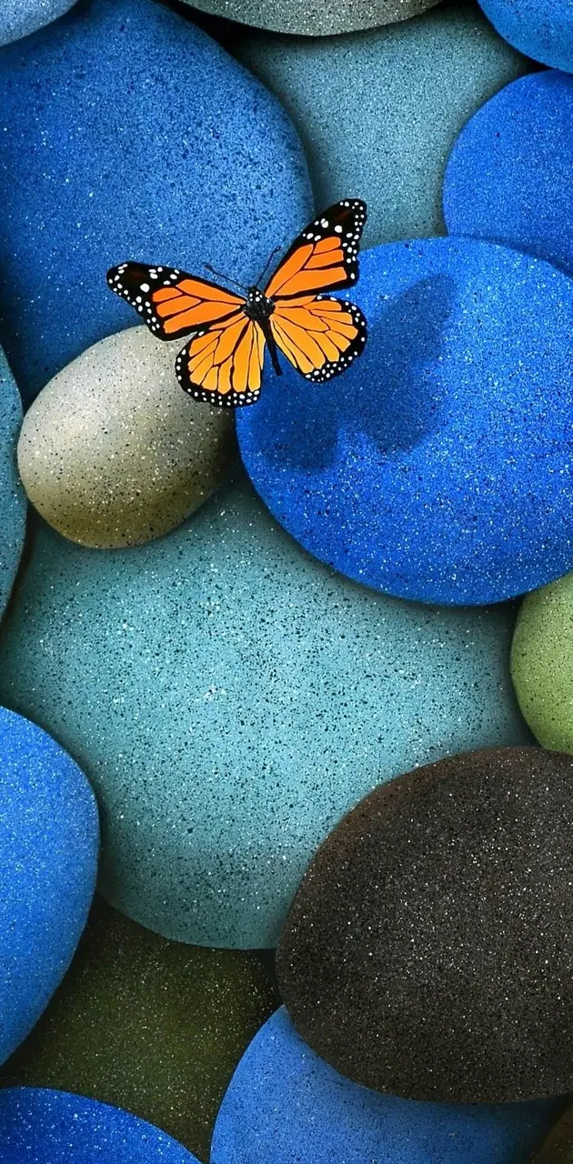 Butterfly And Stones