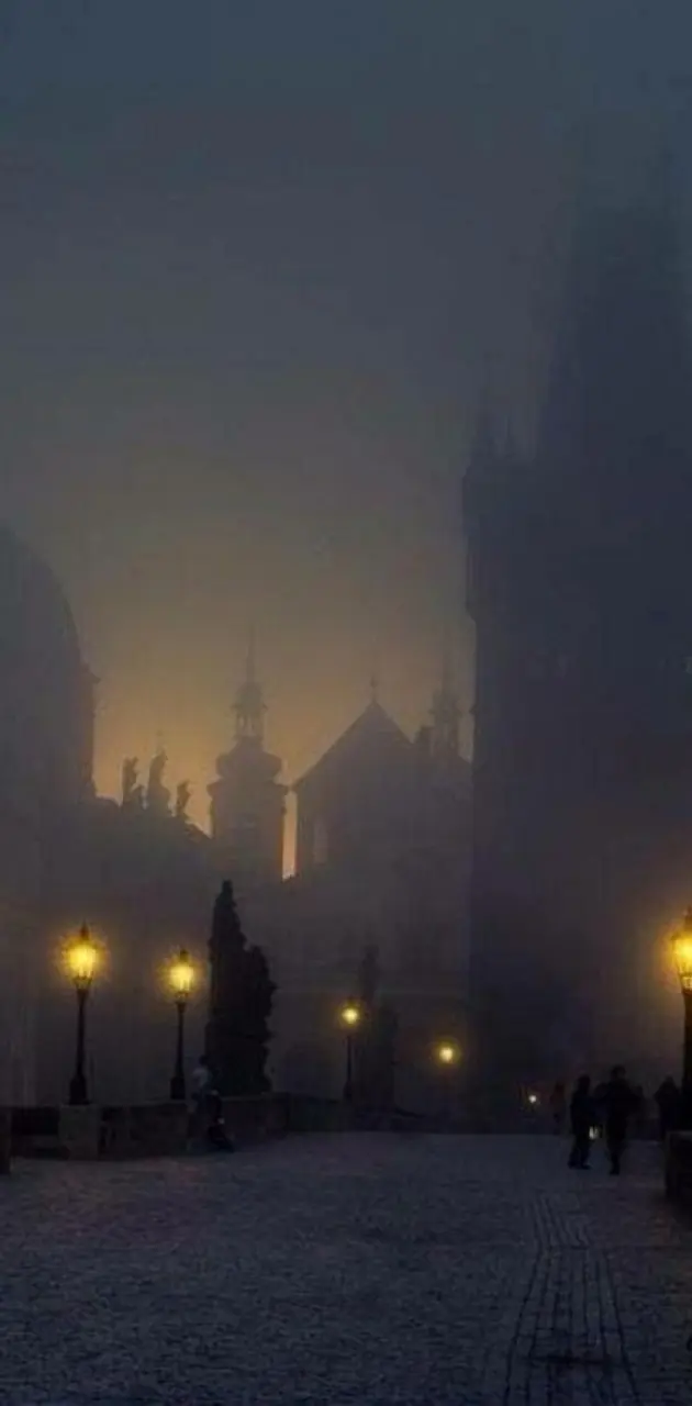 fogy night