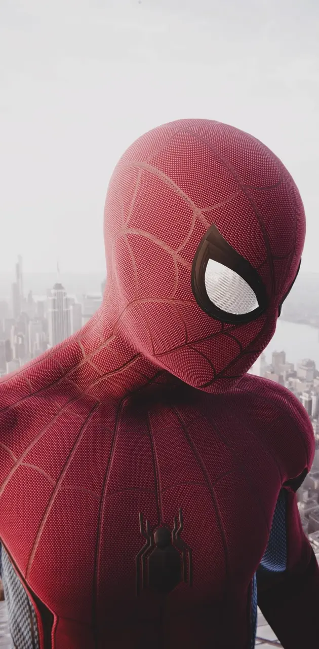 Spider-Man Close Up