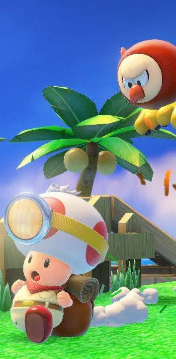 Captain toad