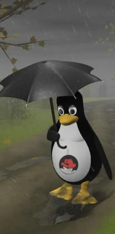 Raining On Penguin