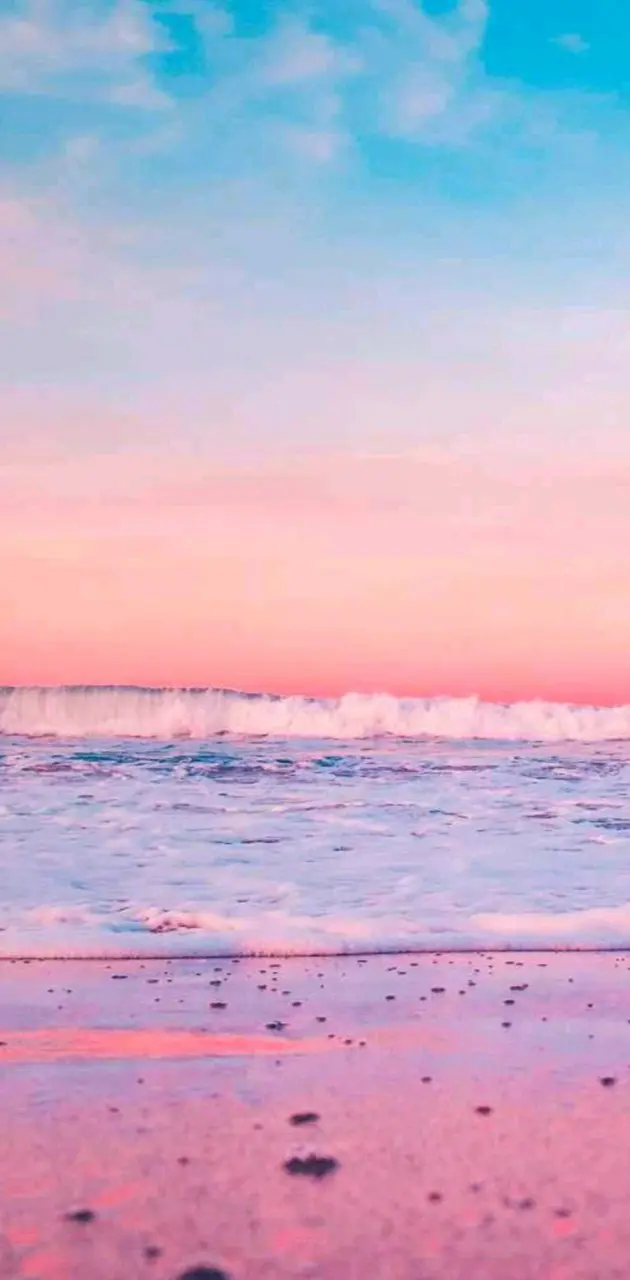 Sea sunset 