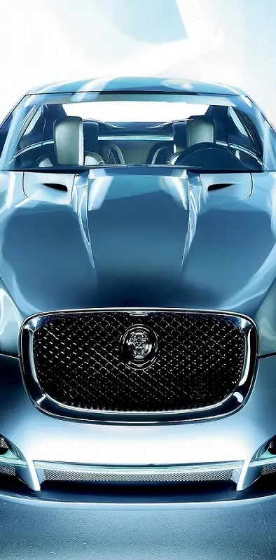 Jaguar C-xf