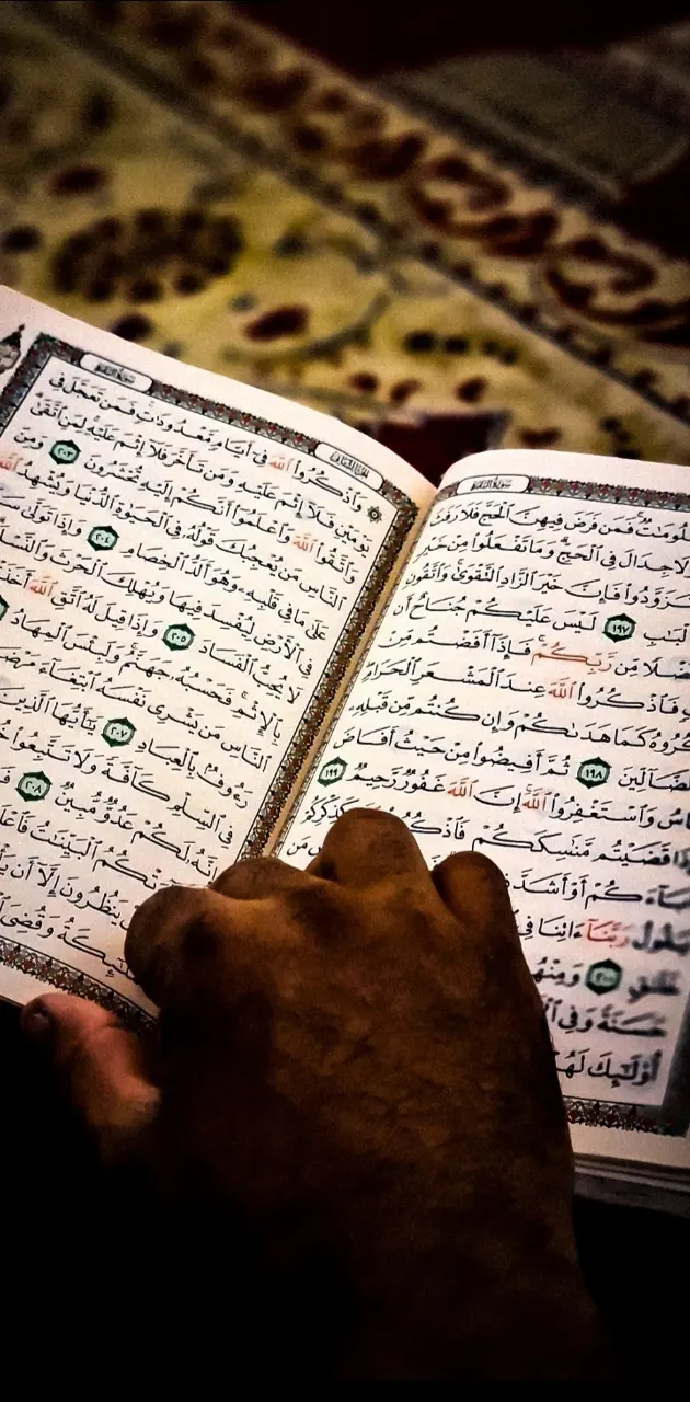 Hand Quran