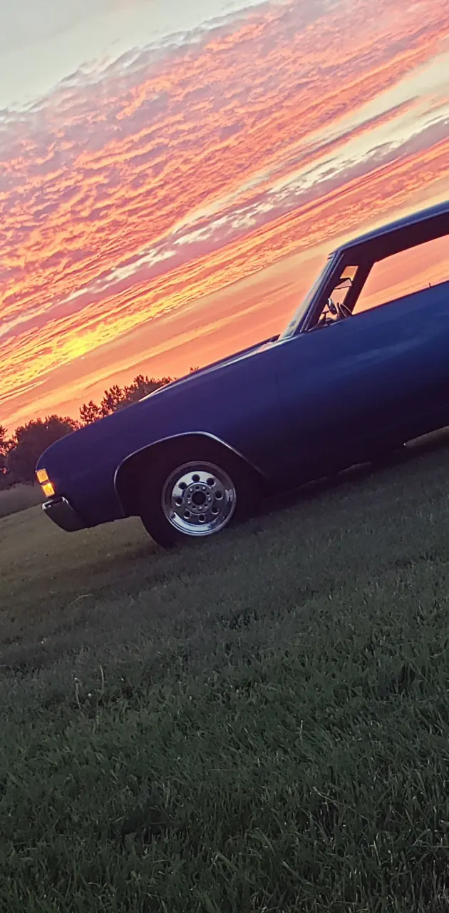 Chevelle sunset