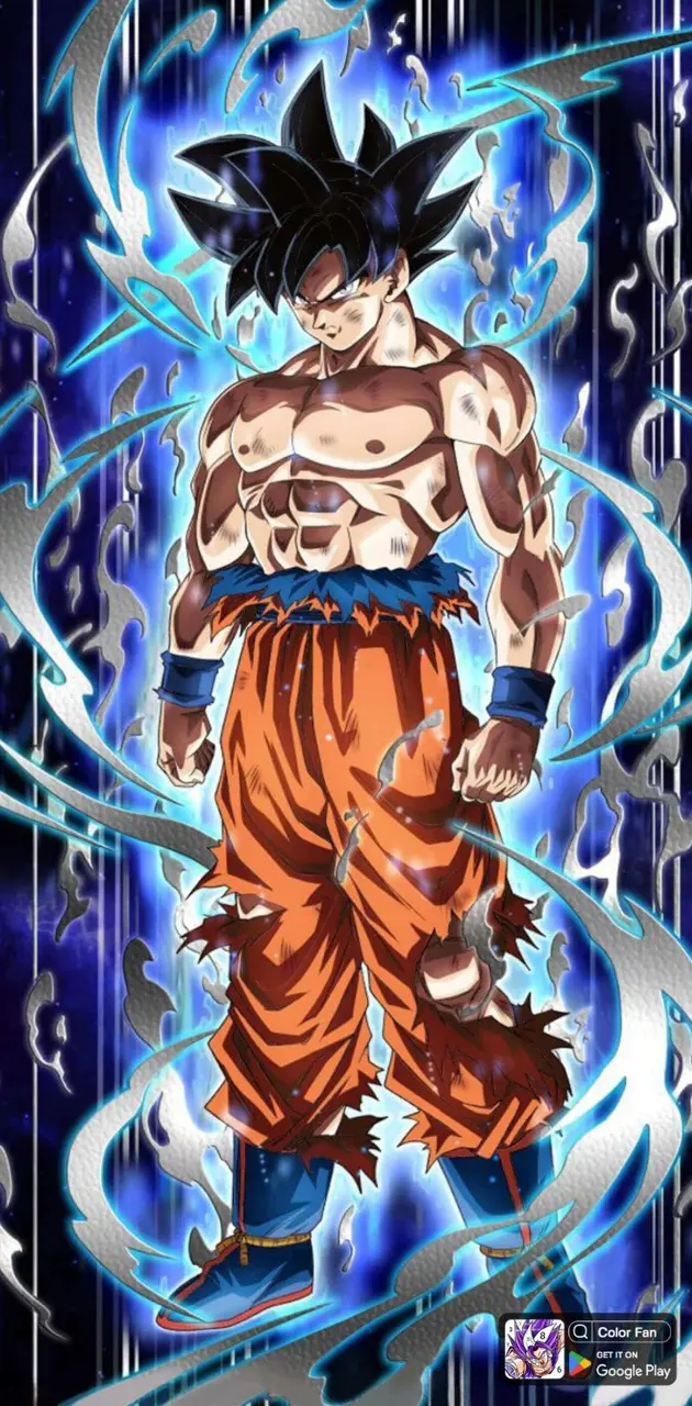 Goku ultraintinto