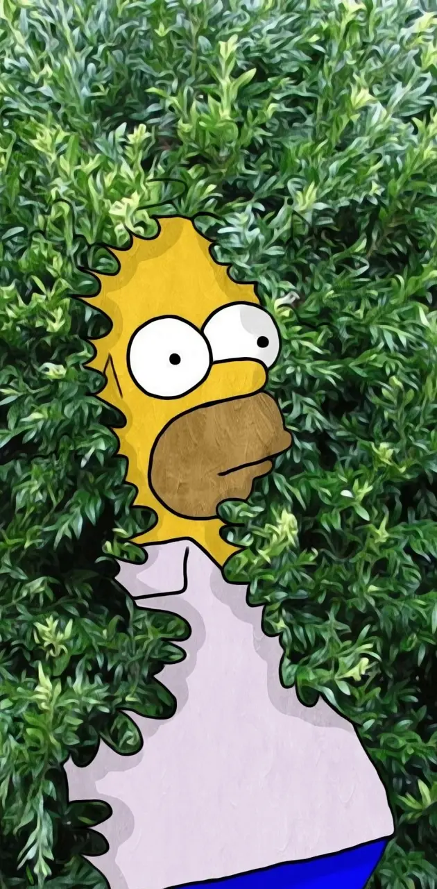 Homer plant