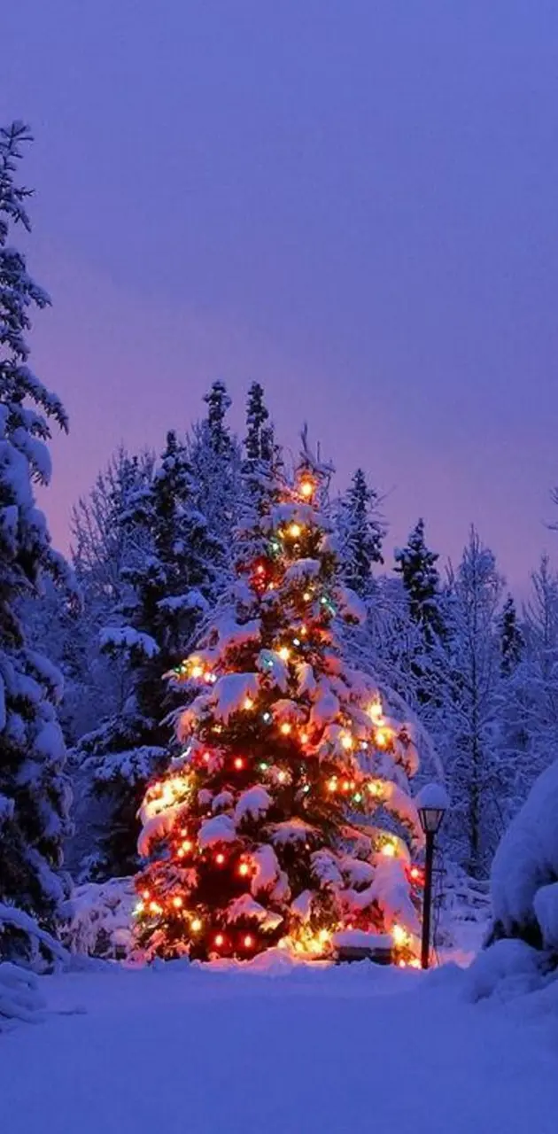 Christmas Tree wallpaper by xhani_rm - Download on ZEDGE™ | 7b3f