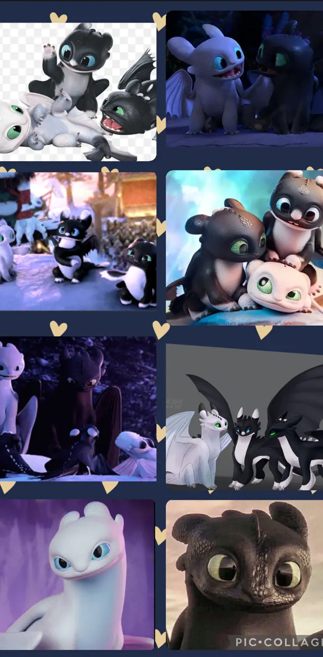 Toothless family