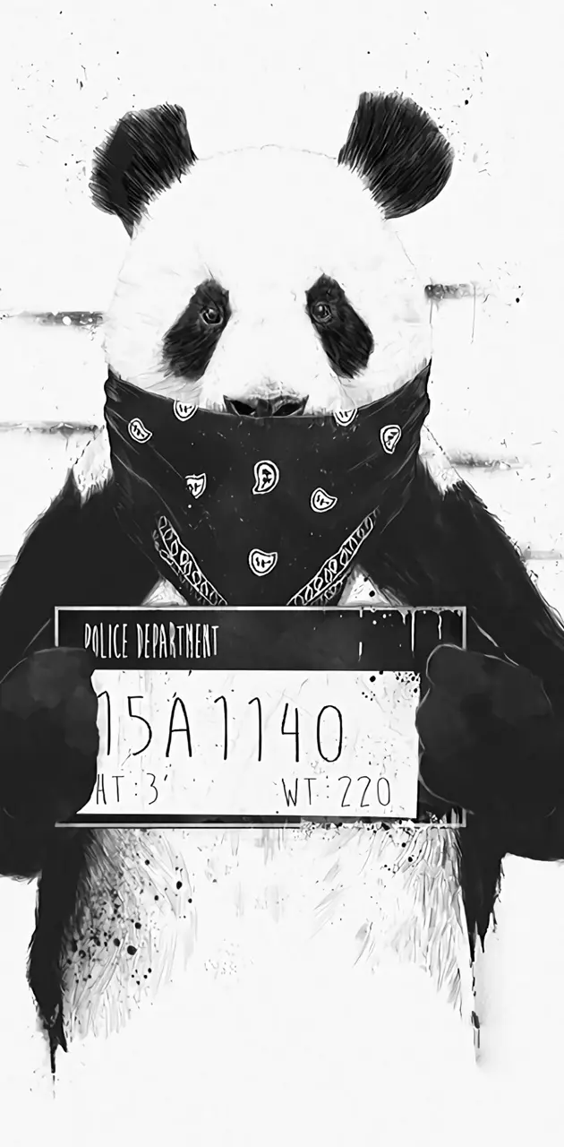 Gang related panda