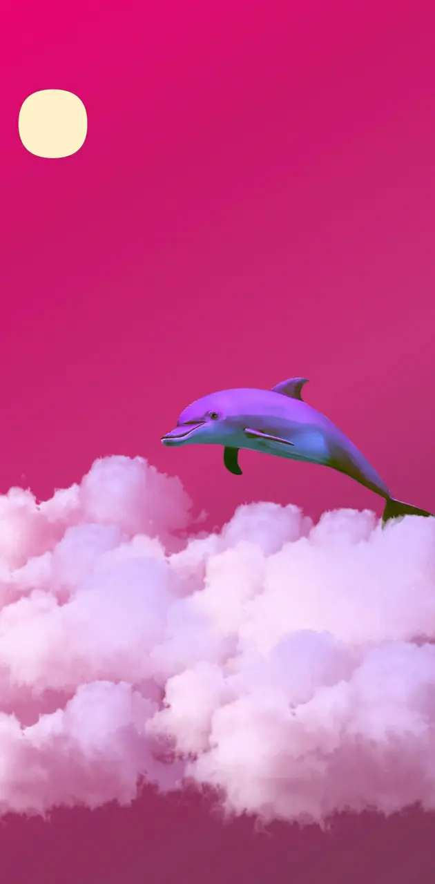 pink dolphins wallpaper