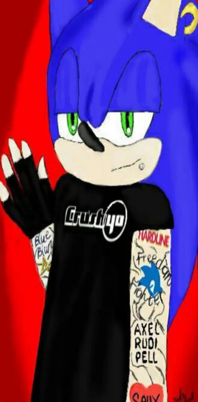 Punk Sonic