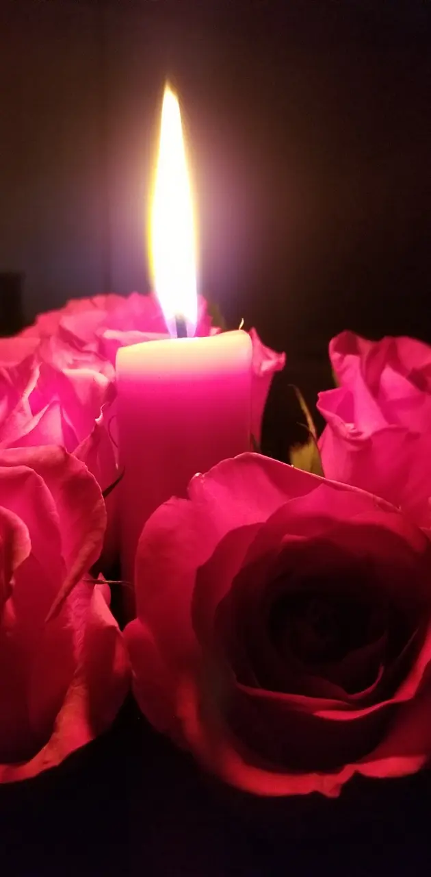 Roses by Candlelight