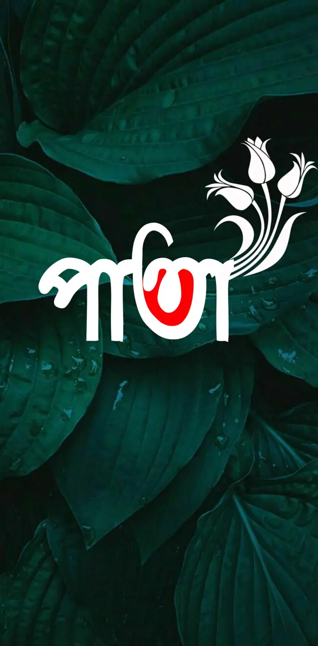 Typography Bangla