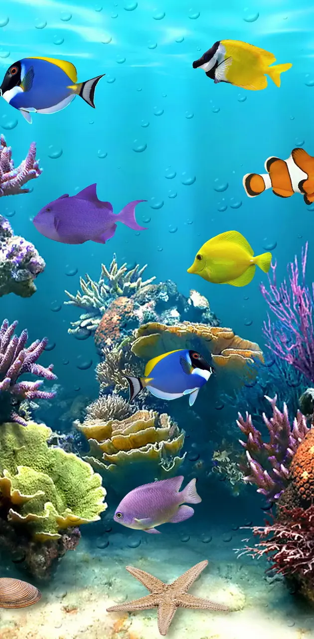 Live Aquarium