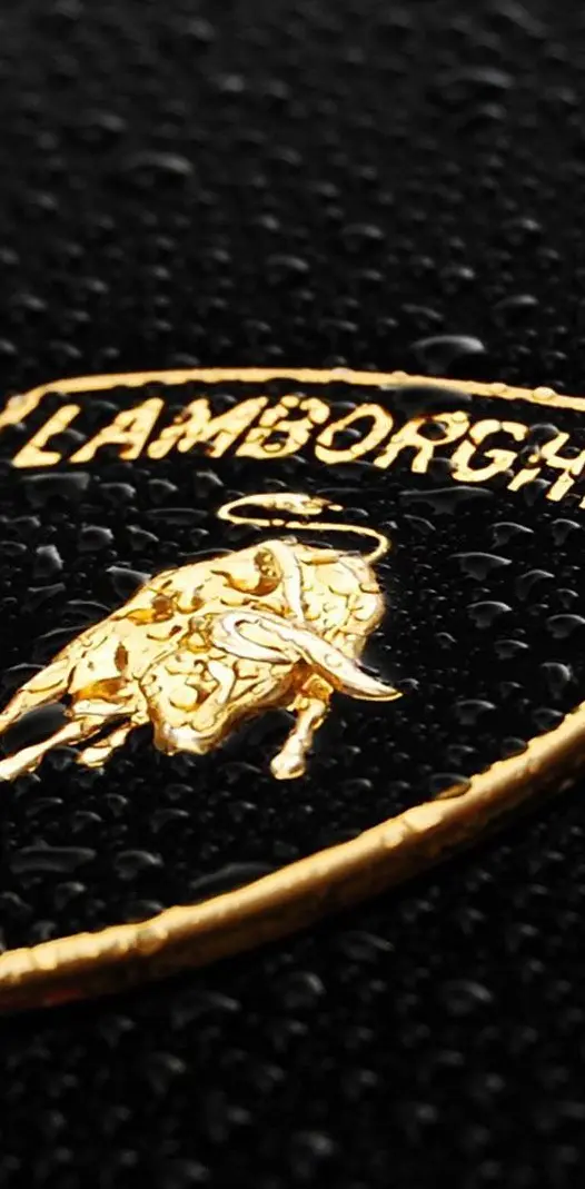 Lamborgini Logo