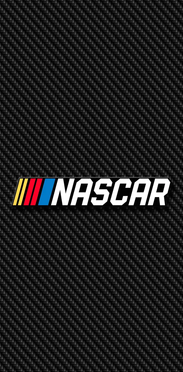 NASCAR Carbon 2
