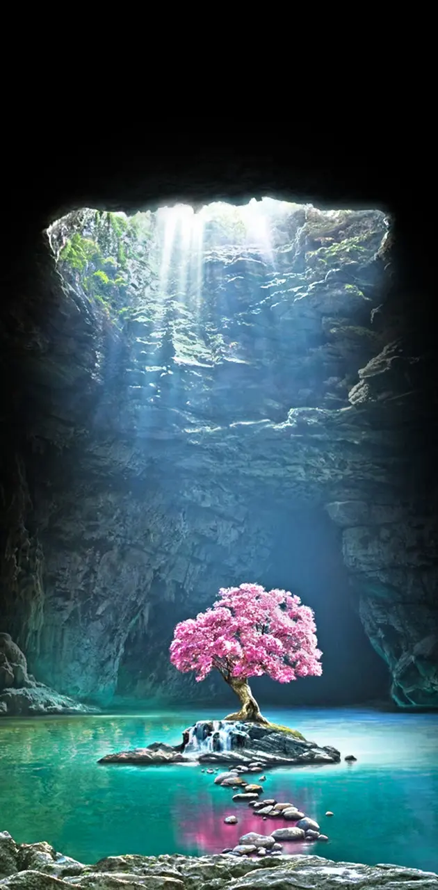 Cave sakura
