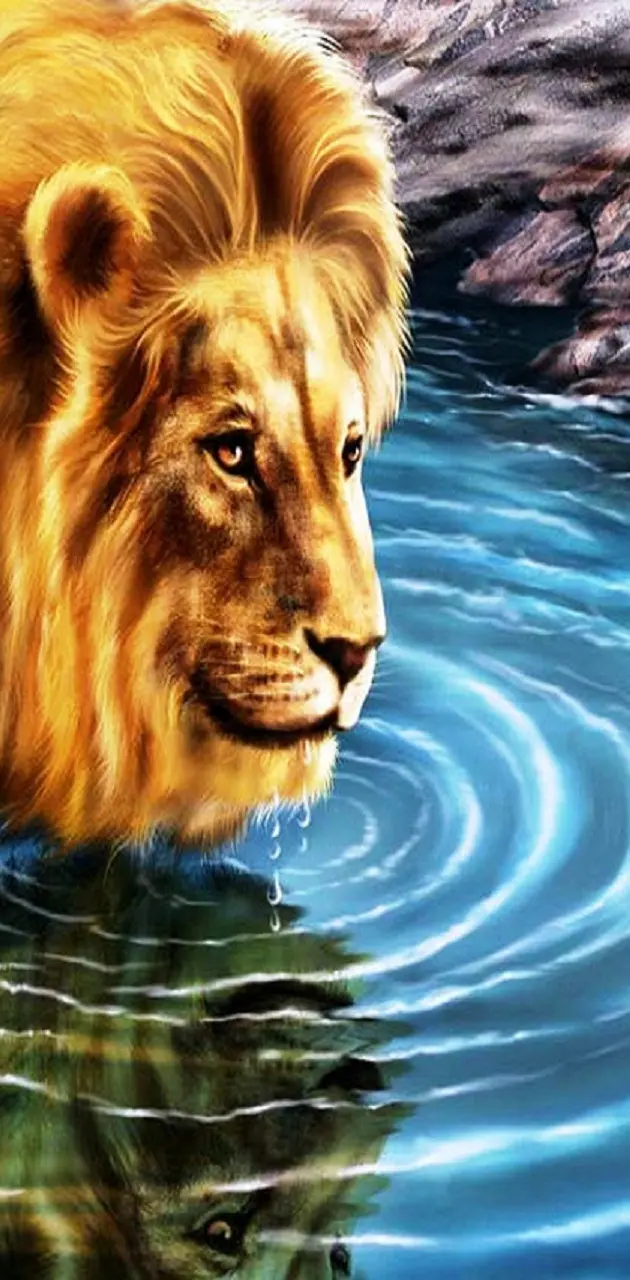 lion wallpaper by _Niya - Download on ZEDGE™ | 4cc4