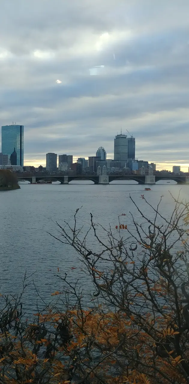 Boston skyline