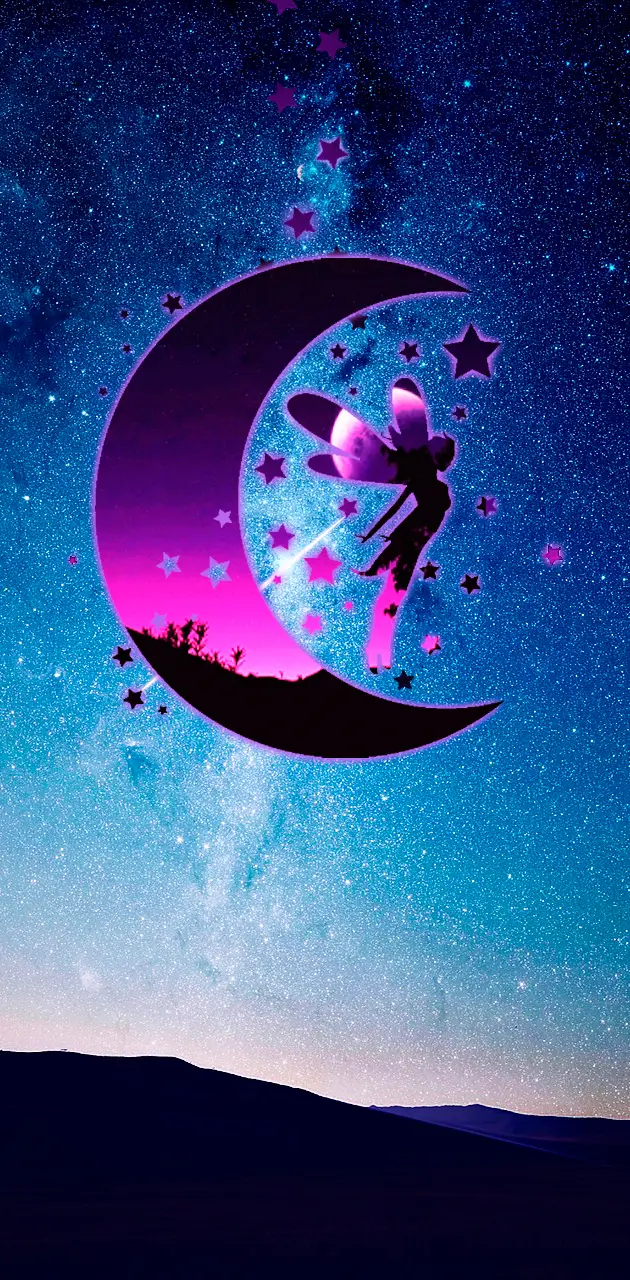 Fairy in night sky