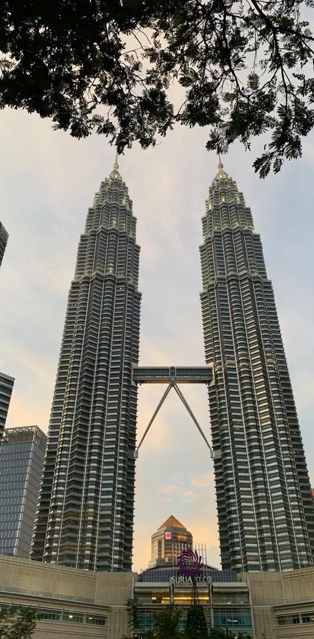 TWIN TOWER