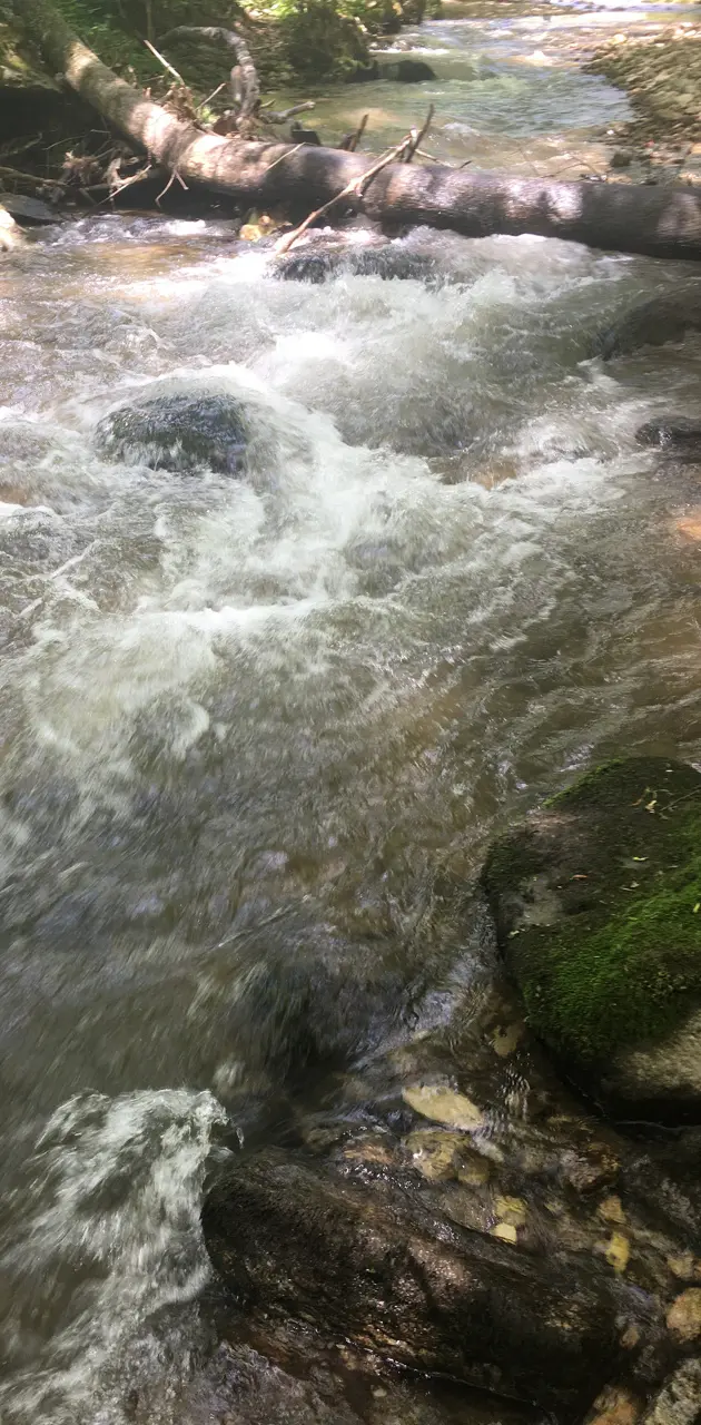 Appalachia Creek