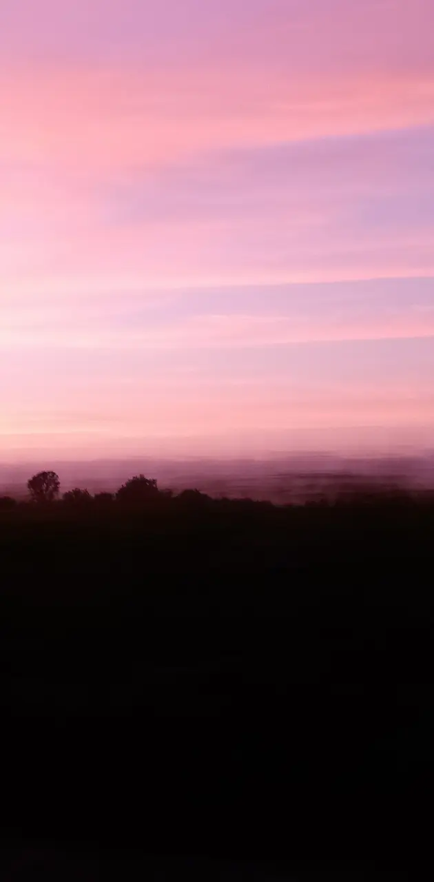 Pink Purple sunset