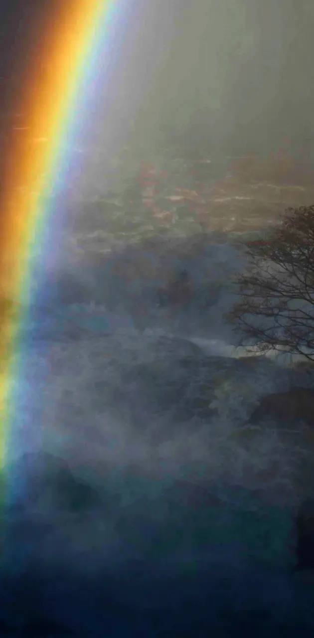 Rainbow - Arcoiris