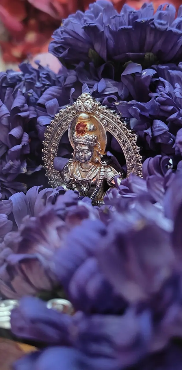 Swami sarnam ayyappa 