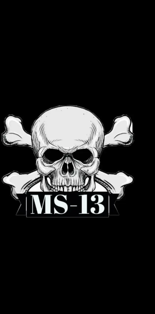 Ms13