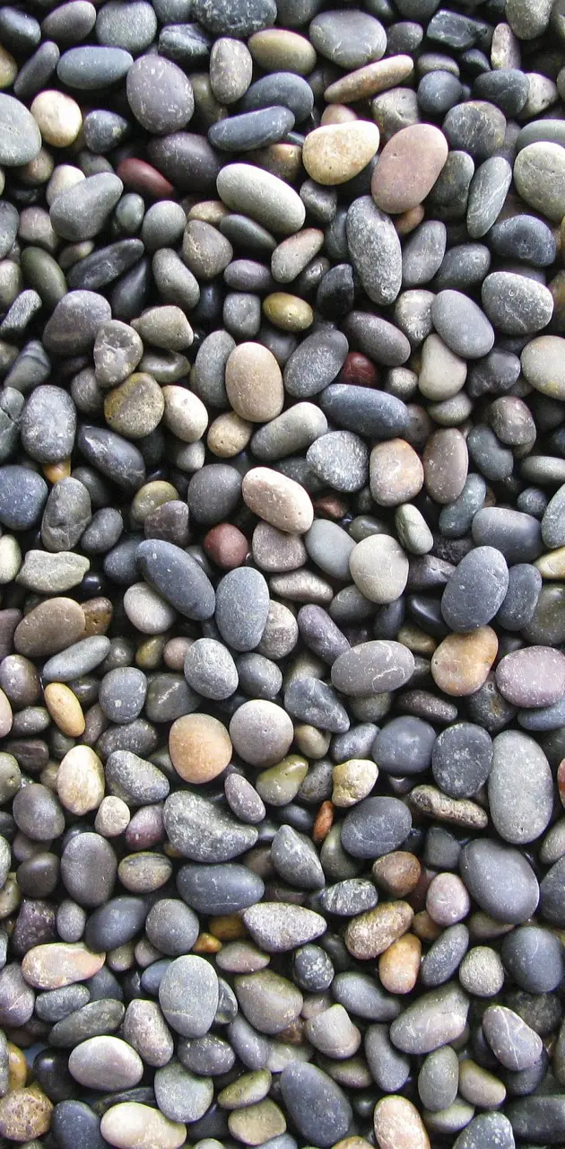 This Rocks