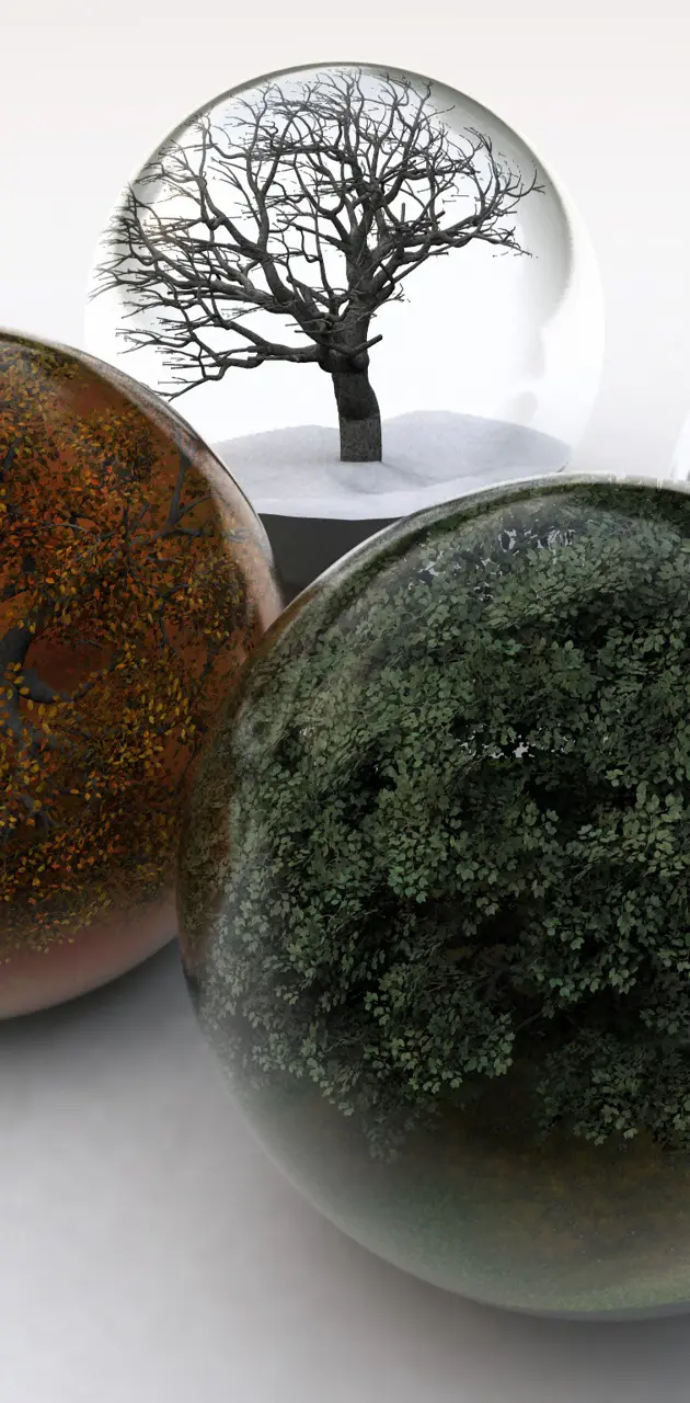 Trees In Glass Balls