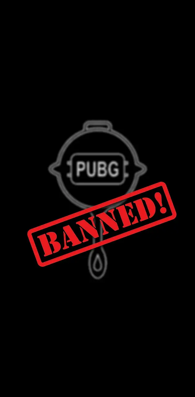 Pubg banned