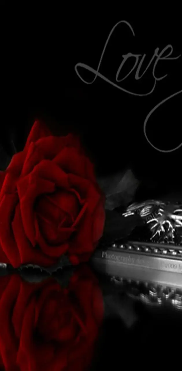 Rose Love You wallpaper by Savanna - Download on ZEDGE™ | 761a