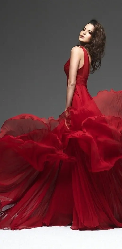 Fab Red Gown