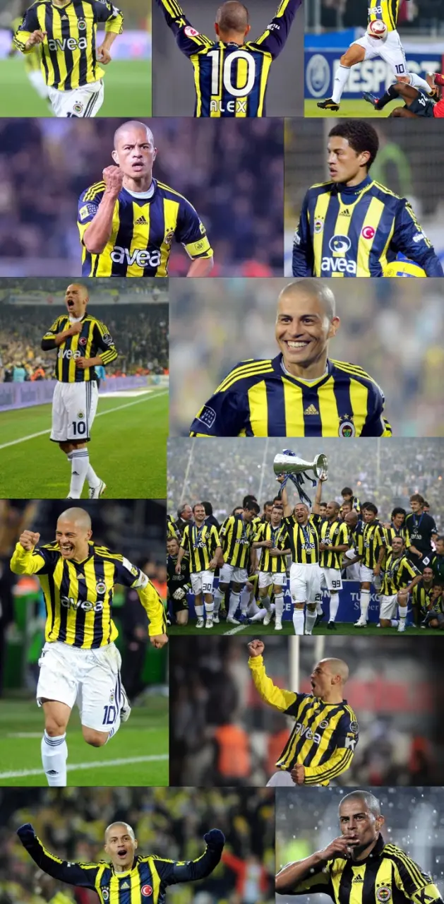 Fenerbahçe Alex Wallpaper