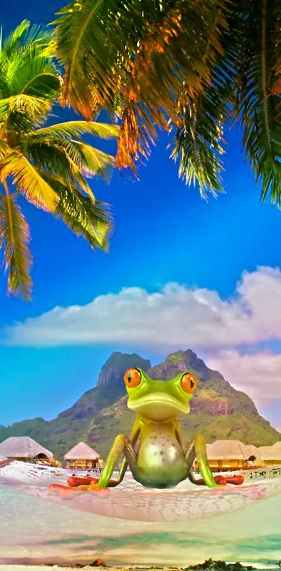 Playa Frogs